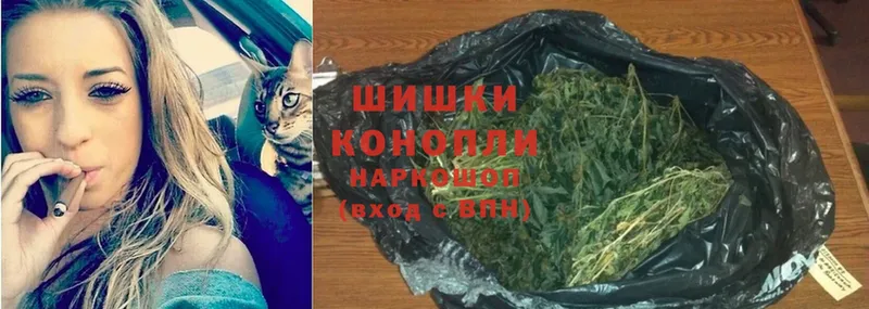 Купить наркотики сайты Новозыбков СК  MDMA  Экстази  Канабис  COCAIN  АМФЕТАМИН  Гашиш 